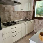 Rent 3 bedroom apartment of 90 m² in Padua