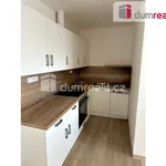 Rent 2 bedroom apartment of 50 m² in Plzeň