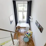 Rent 4 bedroom apartment in Prague