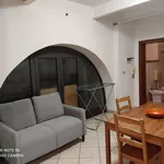 Rent 1 bedroom apartment of 35 m² in Collesalvetti