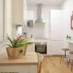 Rent 1 bedroom apartment in madrid