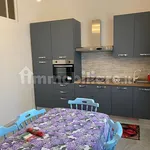 Rent 4 bedroom apartment of 120 m² in Pisa