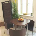 Rent 1 bedroom apartment of 42 m² in Mödling District