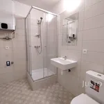 Pronájem 1+kk, 27 m², Topělec - Čížová