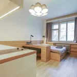 Pronajměte si 1 ložnic/e byt o rozloze 25 m² v Prague