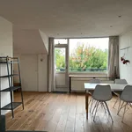 Huur 3 slaapkamer appartement van 49 m² in Groningen