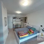 Rent a room of 20 m² in Padova