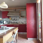 Rent 4 bedroom apartment of 100 m² in Colorno