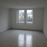 Rent 4 bedroom apartment of 110 m² in  Schweiz