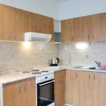 Rent 4 bedroom apartment of 29 m² in Prague