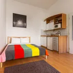 Rent 1 bedroom apartment of 28 m² in Prague