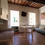 Rent 1 bedroom apartment of 30 m² in Siena