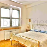 Rent 4 bedroom apartment of 168 m² in Trieste