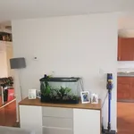 Rent 1 bedroom apartment in Vancouver