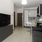 Rent 1 bedroom apartment of 42 m² in milan