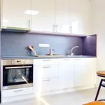 Rent 2 bedroom apartment of 49 m² in Brno