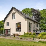 Rent 17 bedroom house of 466 m² in Boskamp