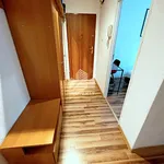 Rent 2 bedroom apartment of 37 m² in Toruń