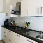 Rent 4 bedroom apartment of 100 m² in Bologna