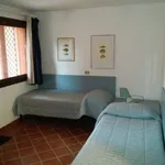 Rent 2 bedroom apartment of 45 m² in Arzachena