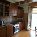 Rent 5 bedroom apartment of 95 m² in Modena