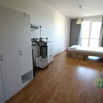 Rent 2 bedroom apartment of 71 m² in Hradec Králové