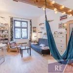 Rent 1 bedroom apartment of 30 m² in Praha 5