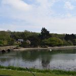 Rent 1 bedroom flat in South Hams