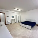 Affitto 2 camera appartamento di 35 m² in Pontedera