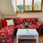 Rent 1 bedroom apartment of 27 m² in München