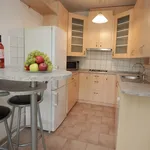 Rent 2 bedroom apartment of 42 m² in Prague