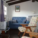 Rent 3 bedroom apartment of 74 m² in Perugia