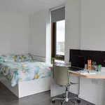 Rent 1 bedroom apartment in Liverpool