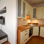 Rent 2 bedroom apartment of 40 m² in Brno