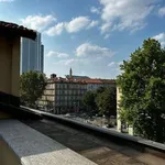 Rent 3 bedroom apartment of 100 m² in Turin