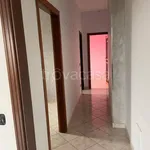 Rent 2 bedroom apartment of 67 m² in Napoli