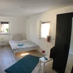 Rent 5 bedroom apartment of 120 m² in Fürth