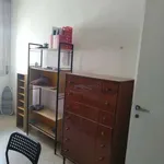 Rent 3 bedroom apartment of 70 m² in Bologna