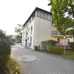 Rent 2 bedroom apartment of 64 m² in Chemnitz