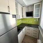 Rent 1 bedroom apartment of 27 m² in Capital City of Prague