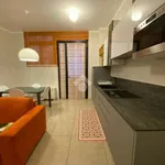 Rent 2 bedroom apartment of 60 m² in Bologna