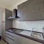 Rent 1 bedroom apartment of 55 m² in torino