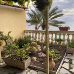 Rent 4 bedroom apartment of 100 m² in Bordighera