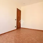 Rent 4 bedroom apartment of 100 m² in Trapani