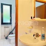 Rent 10 bedroom apartment of 110 m² in Cortemilia