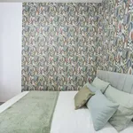 Rent a room in lisbon