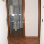 Rent 2 bedroom apartment of 40 m² in Pavia