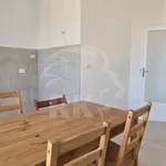 Rent 4 bedroom apartment of 97 m² in Bologna