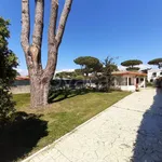 Rent 2 bedroom house of 60 m² in Terracina