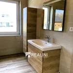 Rent 1 bedroom house in Frýdek - Místek